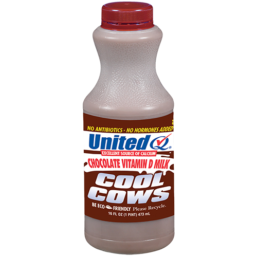 1 CHOC MILK 16 OZ